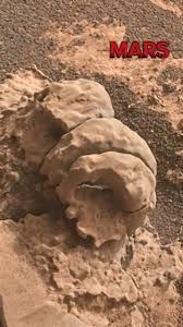 Image result for mars trees