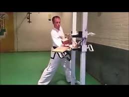 Image result for Wirral UKTA Taekwon-do