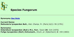 Attēlu rezultāti vaicājumam “Enteridium olivaceum”