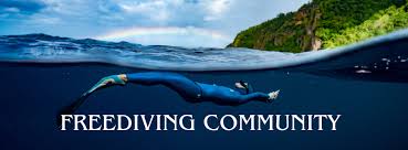Image result for Crystal Freedivers (London)
