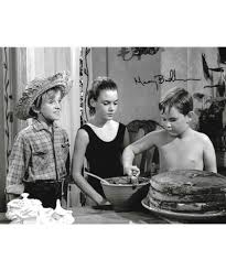 Attēlu rezultāti vaicājumam “Badhamia bethelii young”