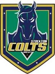 Image result for Stockton Ladies Hockey Club