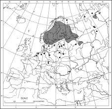 Attēlu rezultāti vaicājumam “Pseudocalliergon turgescens”
