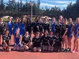 Image result for Bridgewater Netball Club