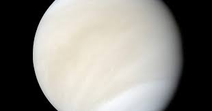 Image result for venus