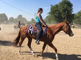 Image result for Lakes Riding Club
