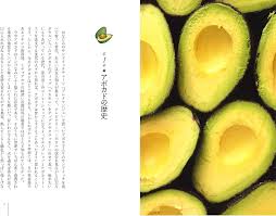 「アボカド大臣」の画像検索結果