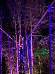 Image result for Go Ape! Moors Valley