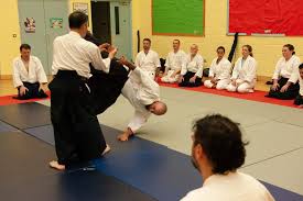 Image result for Newcastle Aikido Club
