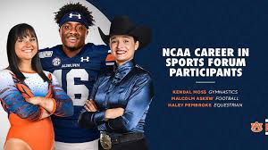 Image result for Kendal School Of Gymnastics