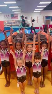 Image result for Acrobrats