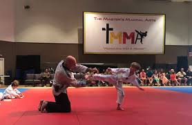 Image result for Masters of Martial Arts