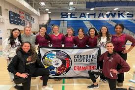 Image result for Concorde Gymnastics Club