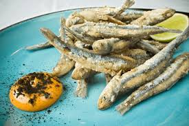 Attēlu rezultāti vaicājumam “Charales”