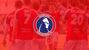 Image result for Dorking Wanderers F C