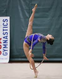 Image result for Northern Gymnastics Club CIC
