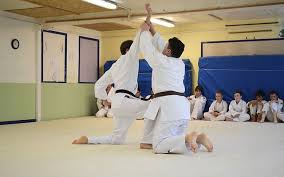 Image result for Backwell Karate