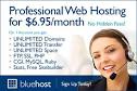web hosting packages at