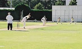 Image result for Pontarddulais Cricket Club