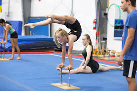Image result for L&G Acrobatic Gymnastics Club