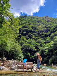 「犬塚雲軒」の画像検索結果