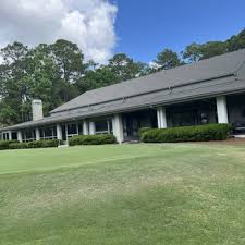 Image result for Dolphina Gc