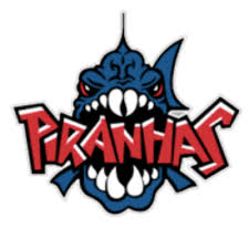 Image result for Huntingdon Piranhas Swimming Club