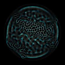 Attēlu rezultāti vaicājumam “Physarum orbis”