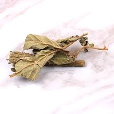 Attēlu rezultāti vaicājumam “Agrimonia pilosa”