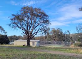 Image result for Bookham Tennis Club