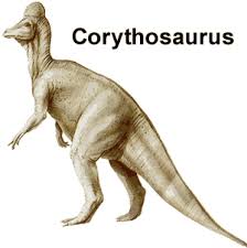 Bildergebnis für corythosaurus