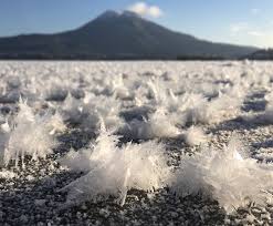 Attēlu rezultāti vaicājumam “Frost Flowers”