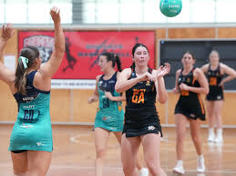 Image result for Capricorn Netball Club