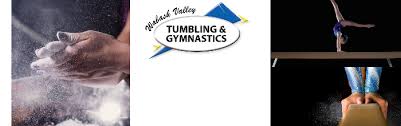 Image result for Blythe Valley Gymnastics Club