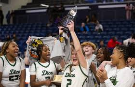 Image result for Blackpool Lights Ladies Basketball Club