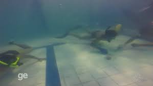 Image result for Inverness Octopush Club