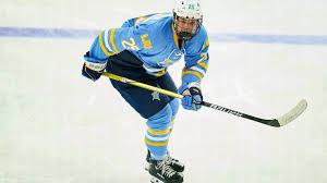 Image result for Preston Hockey Club