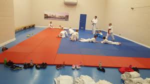 Image result for Merseyside judo association