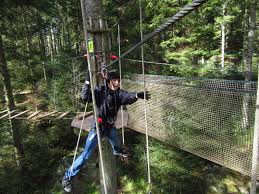 Image result for Go Ape! Grizedale