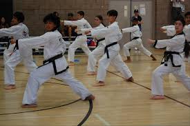 Image result for moray coast tang soo do