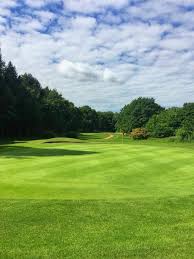 Image result for Downshire Golf Complex