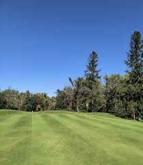 Image result for Whitehall Golf Club