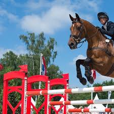 Image result for Thames Valley Riding Club