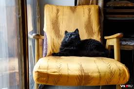 Image result for Приметы