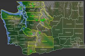 Attēlu rezultāti vaicājumam “Xylographa paralella”