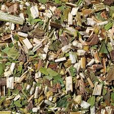 Attēlu rezultāti vaicājumam “Solidago canadensis fruit”