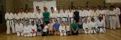 Image result for Seiki Juku Karate Club