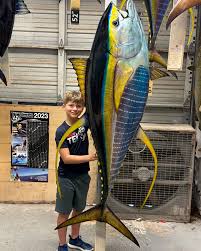 Image result for Thunnus albacares