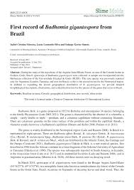 Attēlu rezultāti vaicājumam “Badhamia affinis sessile”