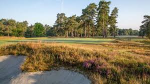 Image result for West Surrey Golf Club